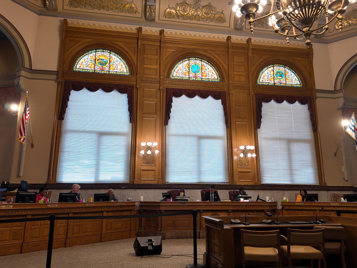 City council denounces ICE shooting with resolution