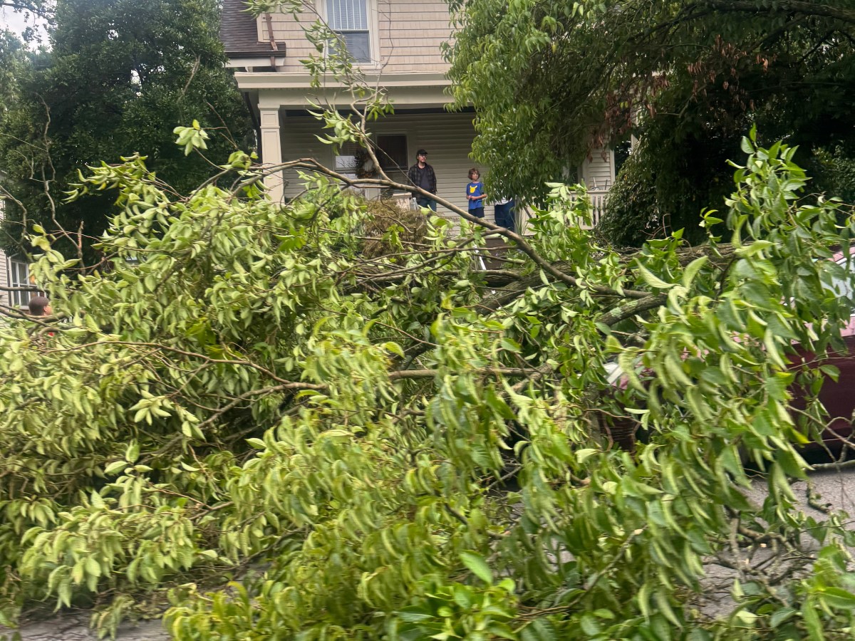 County officials review damage from Aug. 11 storm